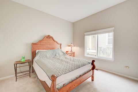 21535 W Larch Dr, Plainfield, IL 60544 photo 28