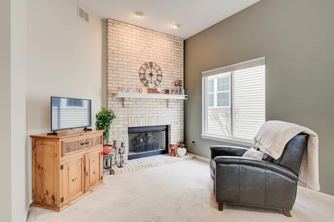 21535 W Larch Dr, Plainfield, IL 60544 photo 26