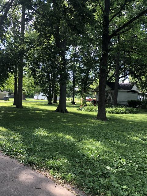 403 E 3rd St, Brocton, IL 61917 photo 39