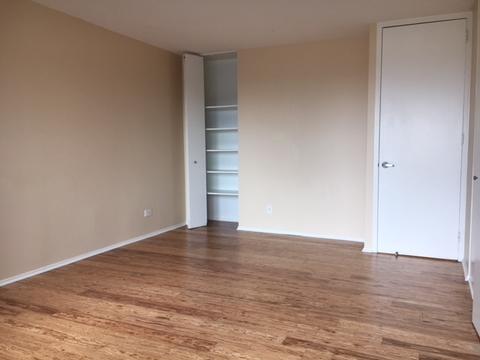 30 E Huron St #3704, Chicago, IL 60611 photo 12
