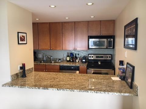 30 E Huron St #3704, Chicago, IL 60611 photo 7