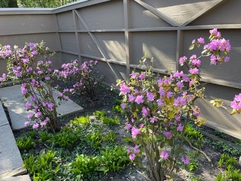 71 Sunset Pl, Lake Forest, IL 60045 photo 20