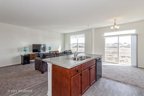 12633 S Potomac Dr, Plainfield, IL 60585 photo 5