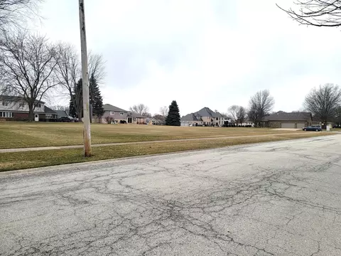 272 Orchard Ln, Beecher, IL 60401 photo 5