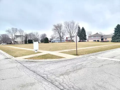 272 Orchard Ln, Beecher, IL 60401 photo 1