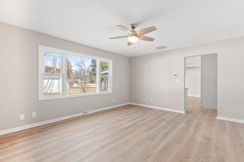 712 W Eureka St, Braidwood, IL 60408 photo 16