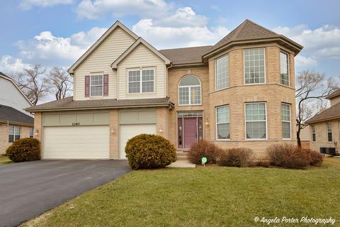 1340 Horizon Trl, Wheeling, IL 60090 photo 1