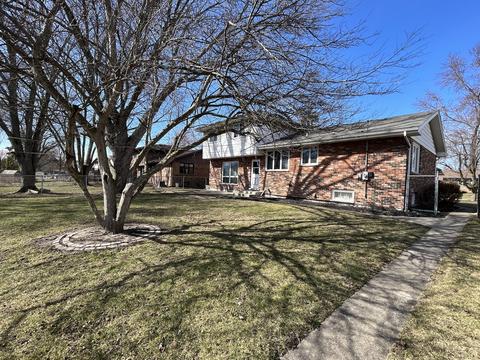 532 Chestnut Ln, Beecher, IL 60401 photo 25