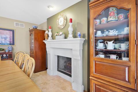 447 Smoketree Ln, Bartlett, IL 60103 photo 14