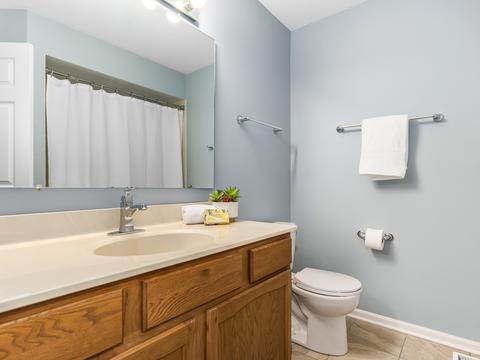 1561 Hinterlong Ln, Naperville, IL 60563 photo 20