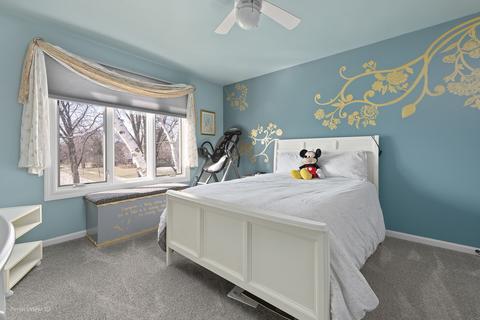 330 W Devon Ave, Roselle, IL 60172 photo 16