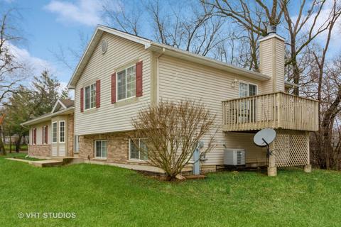 10214 Lund Ave, Algonquin, IL 60102 photo 4