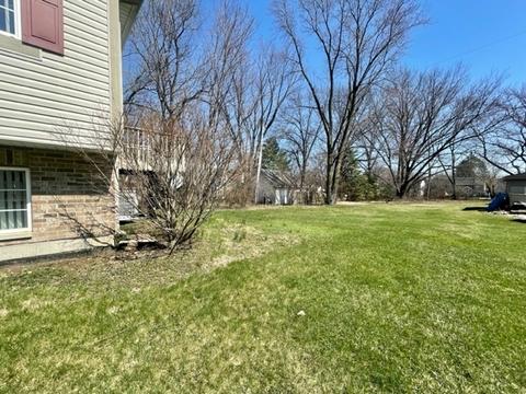 10214 Lund Ave, Algonquin, IL 60102 photo 16