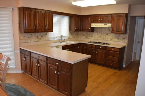 1007 Bette Ln, Glenview, IL 60025 photo 9