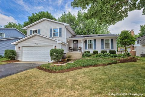 36 Duxbury Ln, Cary, IL 60013
