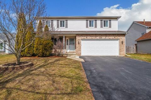1226 Hackberry Ct, Elgin, IL 60120 photo 1
