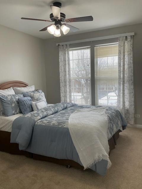 22 Marigold Ln, Algonquin, IL 60102 photo 14