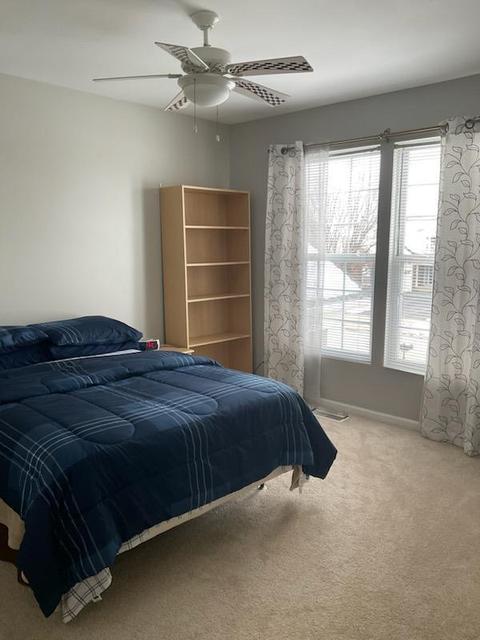 22 Marigold Ln, Algonquin, IL 60102 photo 11