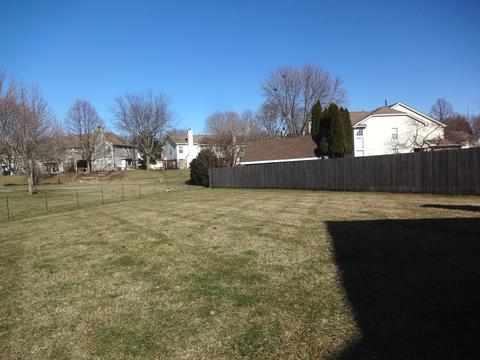 453 Mayflower Ln, Bartlett, IL 60103 photo 36