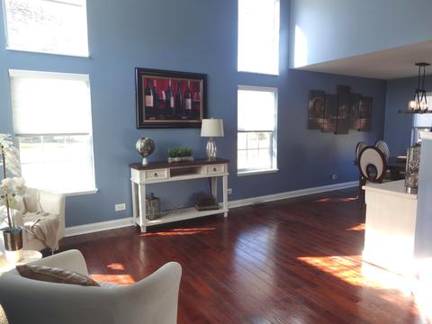 453 Mayflower Ln, Bartlett, IL 60103 photo 4