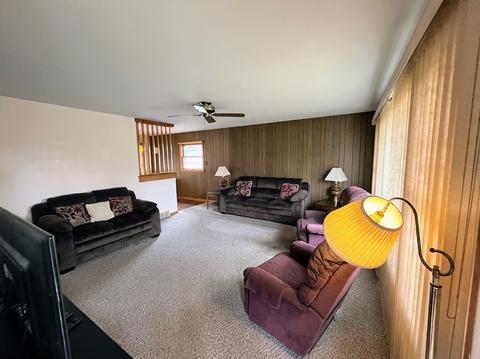 541 Michael Ave, Crete, IL 60417 photo 3