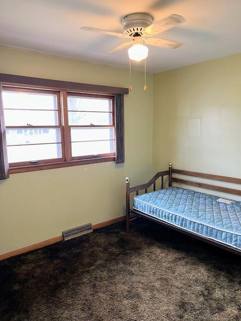 541 Michael Ave, Crete, IL 60417 photo 7