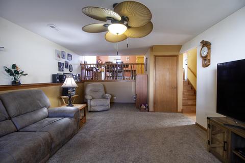 25728 S Mccorkle Ave, Monee, IL 60449 photo 9