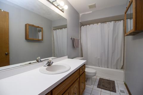 25728 S Mccorkle Ave, Monee, IL 60449 photo 8