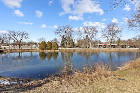 729 Ascot Ct, Hoffman Estates, IL 60169 photo 25