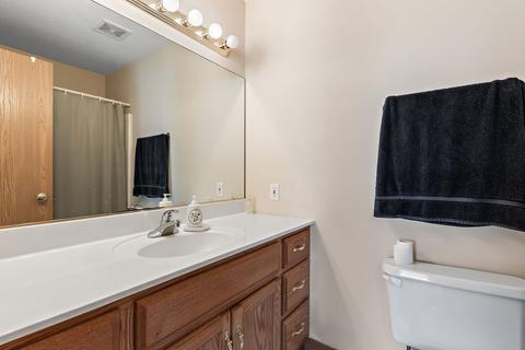 184 E First St, Manteno, IL 60950 photo 14