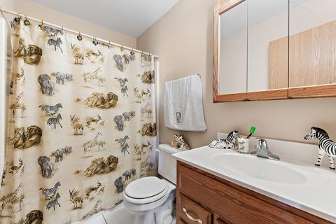184 E First St, Manteno, IL 60950 photo 12
