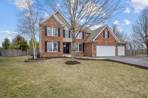 24820 Michele Dr, Plainfield, IL 60544 photo 37