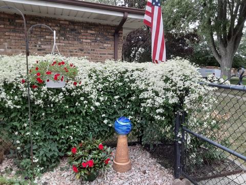 14541 Kolin Ave, Midlothian, IL 60445 photo 21