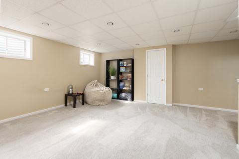 566 Abbey Rd, Bartlett, IL 60103 photo 16