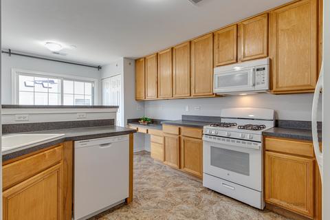 710 Mill Cir #204, Wheeling, IL 60090 photo 6