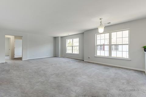 710 Mill Cir #204, Wheeling, IL 60090 photo 13