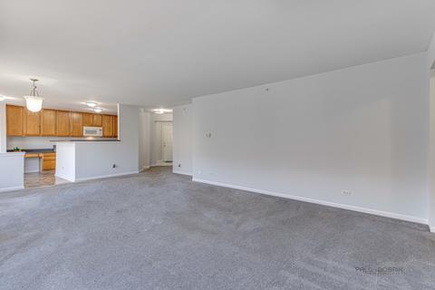 710 Mill Cir #204, Wheeling, IL 60090 photo 3