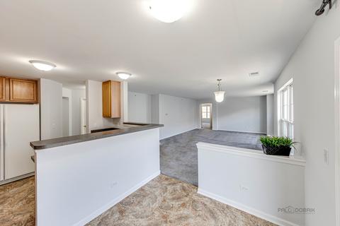 710 Mill Cir #204, Wheeling, IL 60090 photo 4