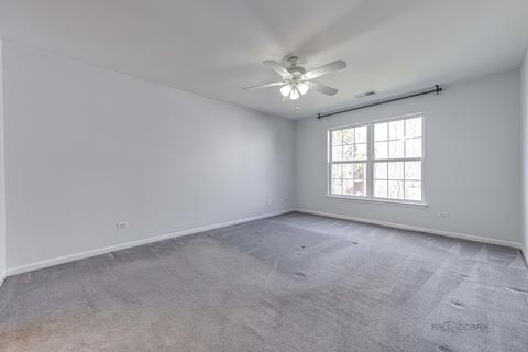 710 Mill Cir #204, Wheeling, IL 60090 photo 15