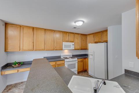 710 Mill Cir #204, Wheeling, IL 60090 photo 7