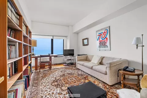 175 E Delaware Pl #5411, Chicago, IL 60611 photo 12