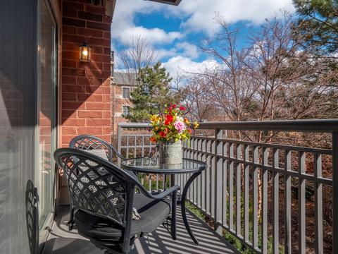 255 E Liberty Dr #206-2, Wheaton, IL 60187 photo 23