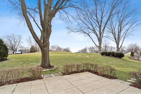 1017 Briergate Dr, Naperville, IL 60563 photo 18