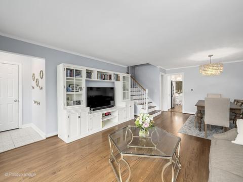 441 E Webster Ave, Elmhurst, IL 60126 photo 6