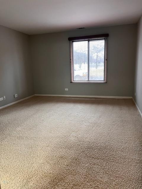 1012 Harbour Dr #1A, Wheeling, IL 60090 photo 21