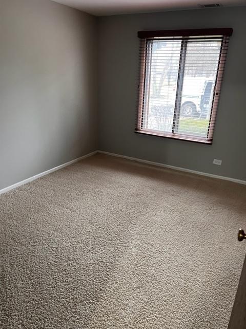 1012 Harbour Dr #1A, Wheeling, IL 60090 photo 20