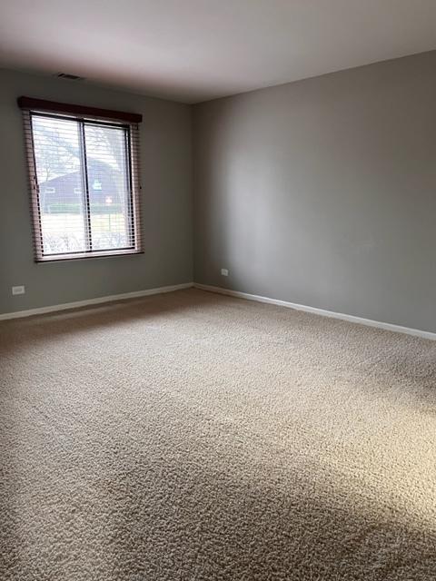 1012 Harbour Dr #1A, Wheeling, IL 60090 photo 22