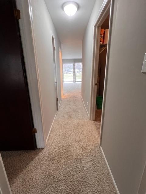 1012 Harbour Dr #1A, Wheeling, IL 60090 photo 16