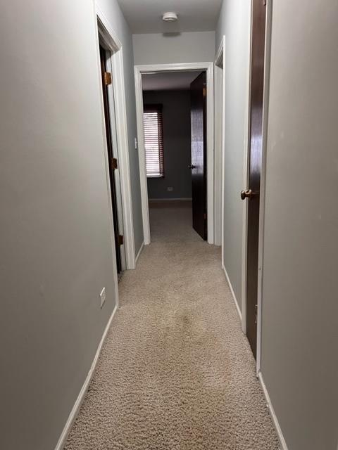 1012 Harbour Dr #1A, Wheeling, IL 60090 photo 15