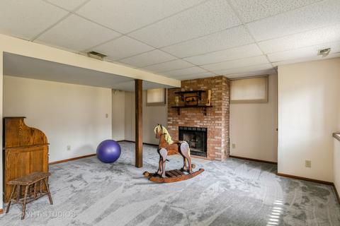 9 N701 Adobe Rdg, Elgin, IL 60124 photo 28